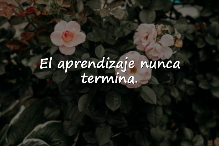 Imágenes frase motivadora para estudiantes - 21