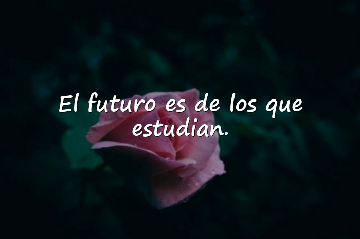 Imágenes frase motivadora para estudiantes - 17