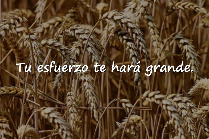 Imágenes frase motivadora para estudiantes - 14