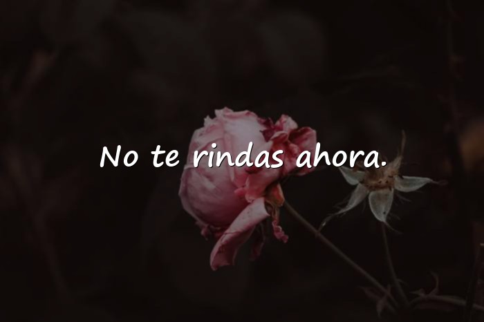 Imágenes frase motivadora para estudiantes - 5
