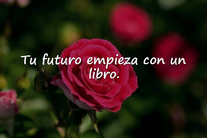 Imágenes frase motivadora para estudiantes - 1