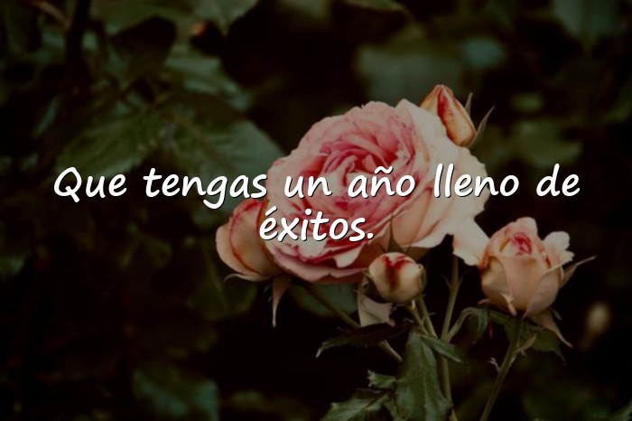 Imágenes frase para cumpleaños - 11