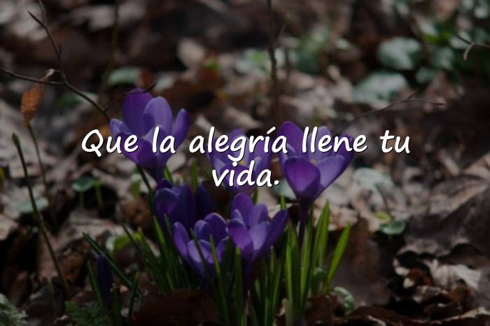 Imágenes frase para cumpleaños - 23