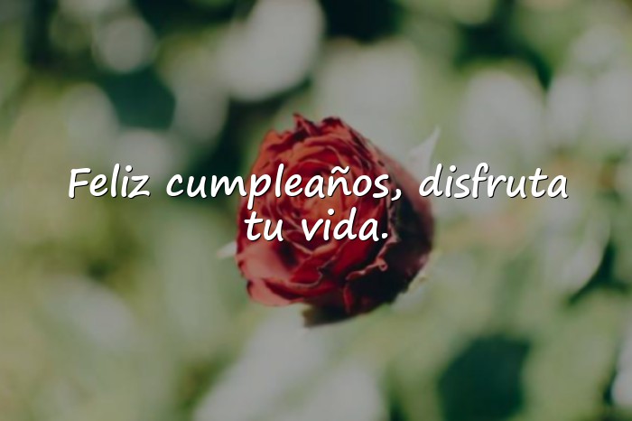 Imágenes frase para cumpleaños - 20