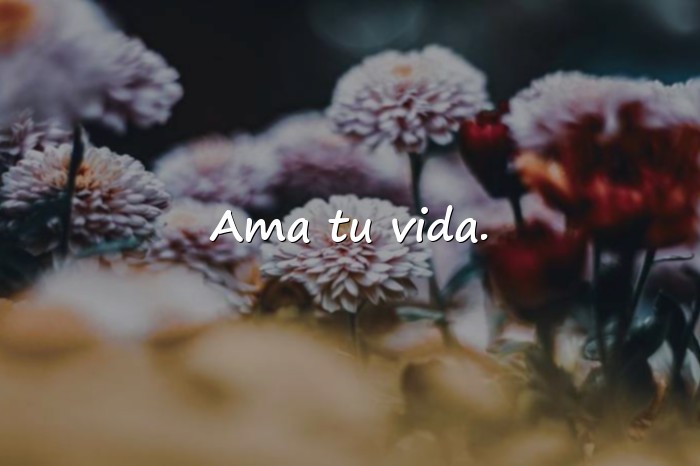 Imágenes frase para estado de whatsapp - 7
