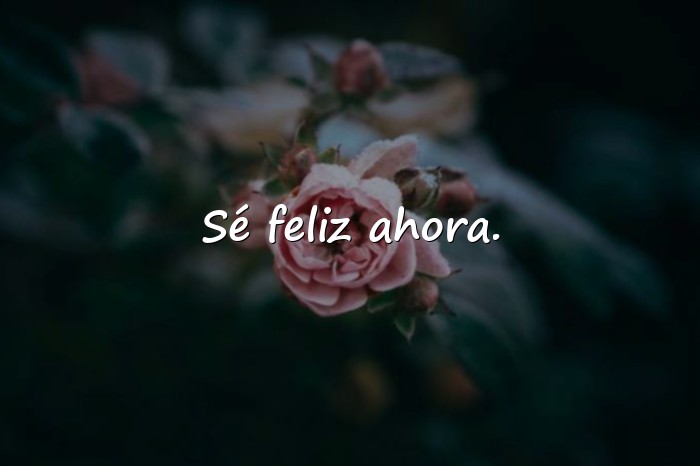 Imágenes frase para estado de whatsapp - 1