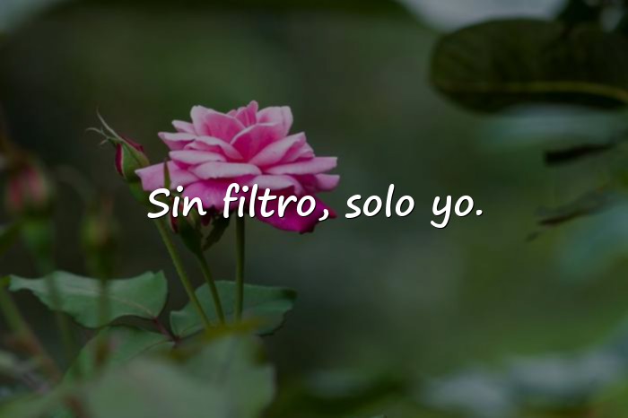 Imágenes frase para foto de instagram - 13