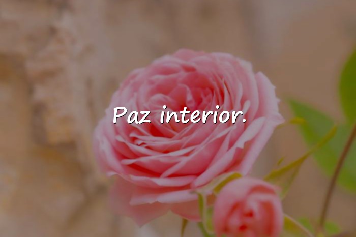 Imágenes frase para foto de instagram - 8