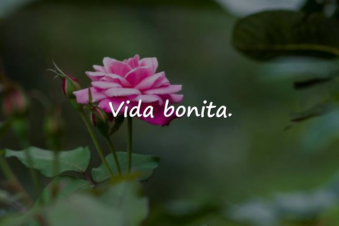 Imágenes frase para foto de instagram - 7