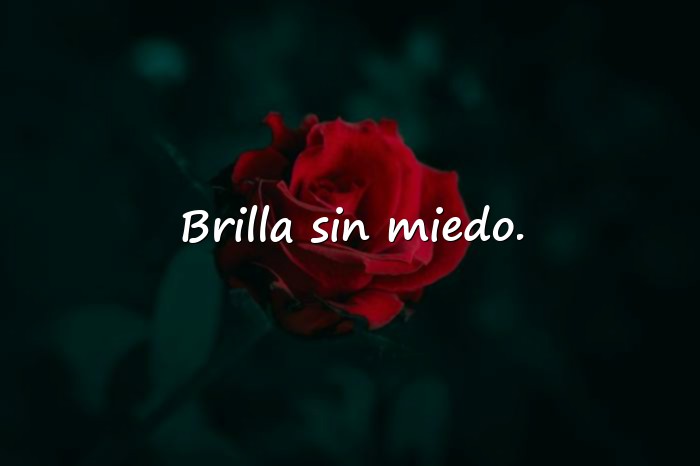Imágenes frase para foto de instagram - 6