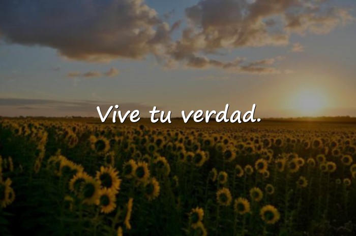 Imágenes frase para foto de instagram - 4