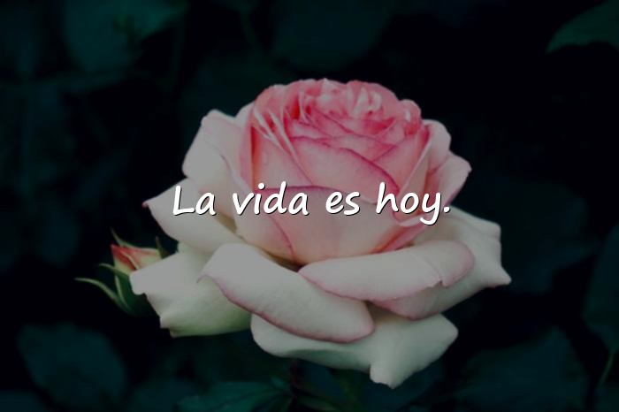 Imágenes frase para foto de instagram - 3