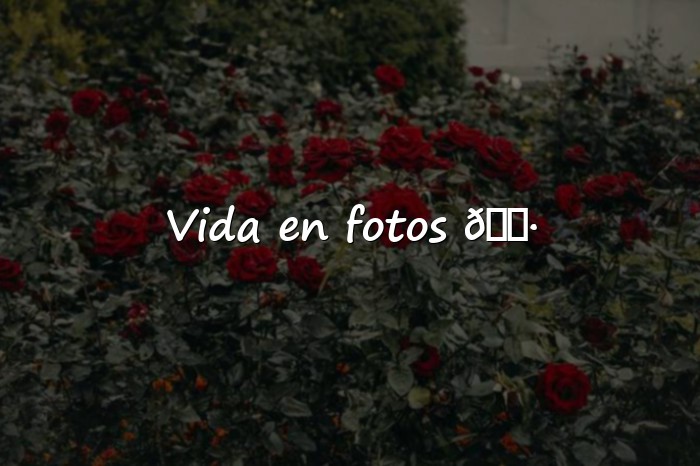 Imágenes frase para foto de instagram - 1