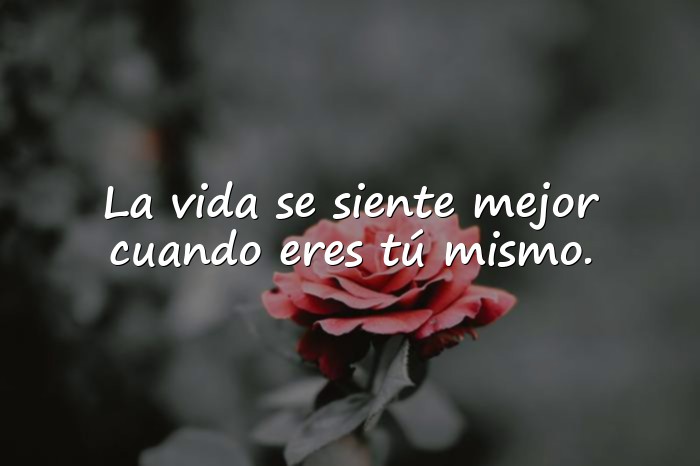 Imágenes frase para fotos - 5
