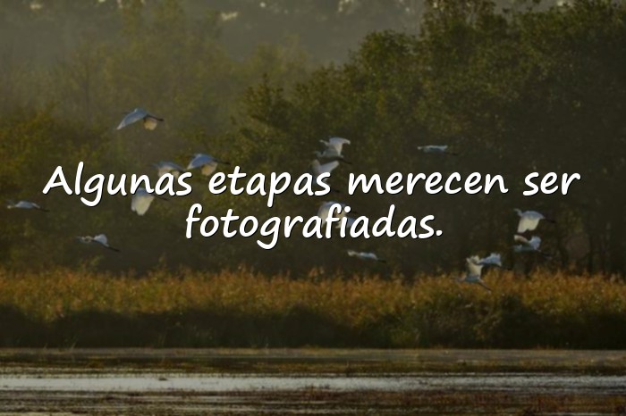 Imágenes frase para fotos - 6