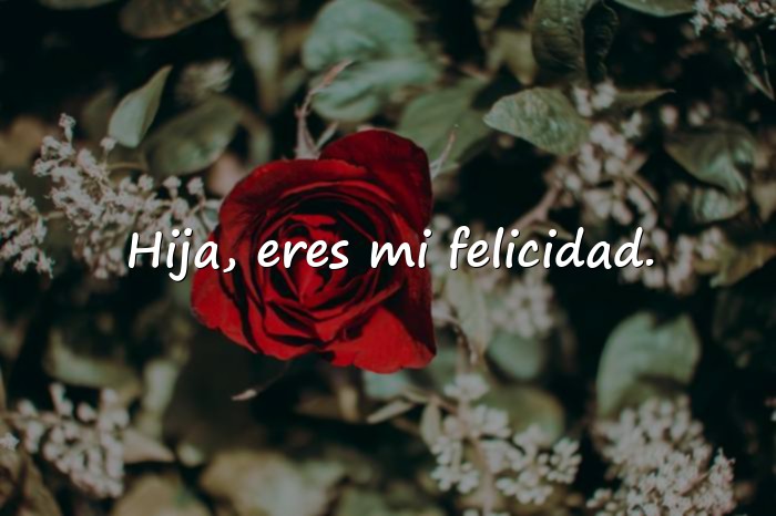 Imágenes frase para mi hija - 4