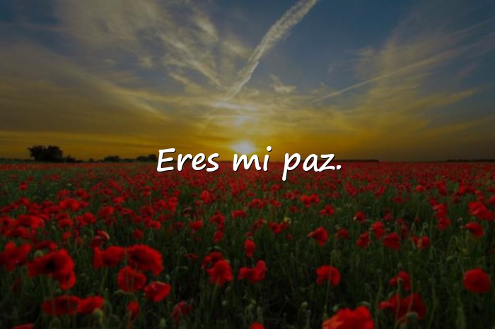Imágenes frase para mi novia - 6