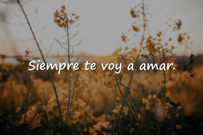 Imágenes frase para mi novia - 4