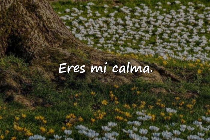 Imágenes frase para mi novia - 3