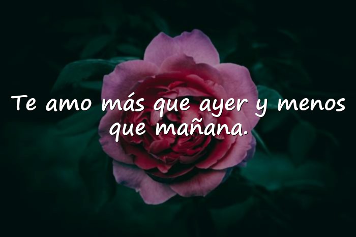 Imágenes frase para mi novia - 1