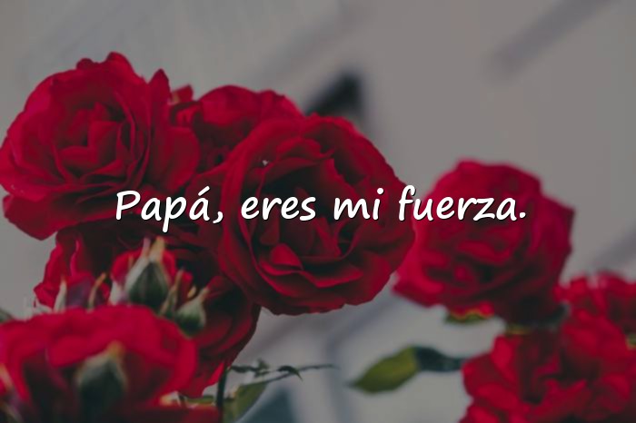 Imágenes frase para papa - 14