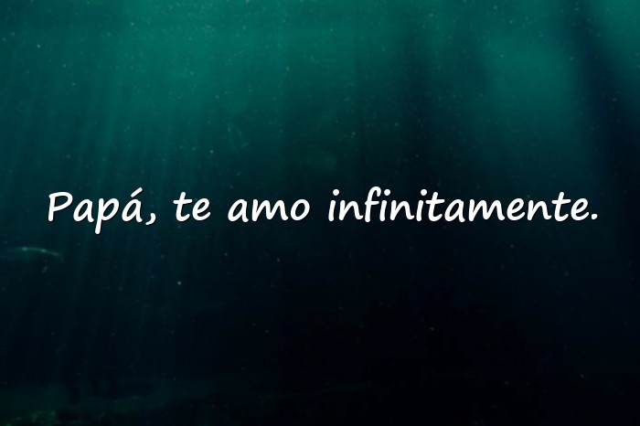 Imágenes frase para papa - 6