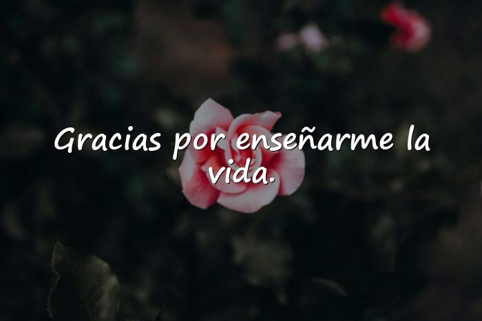 Imágenes frase para papa - 19