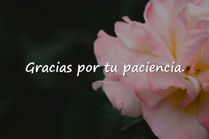 Imágenes frase para papa - 14