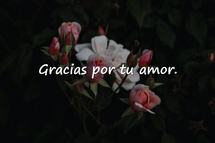 Imágenes frase para papa - 10