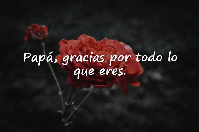 Imágenes frase para papa - 1