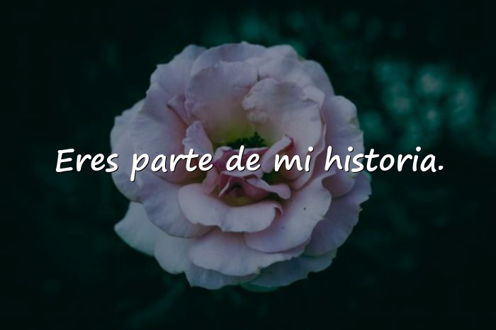 Imágenes frase para una amiga - 12