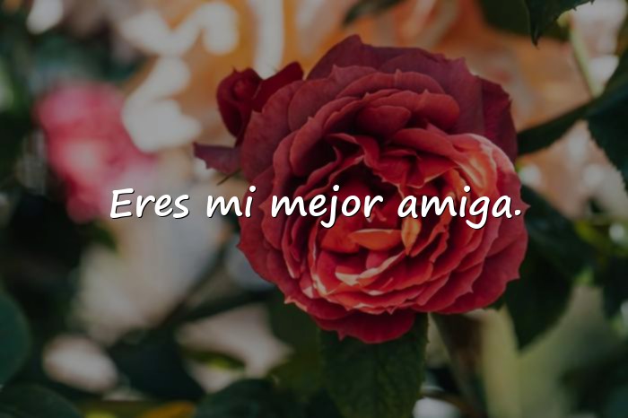 Imágenes frase para una amiga - 6