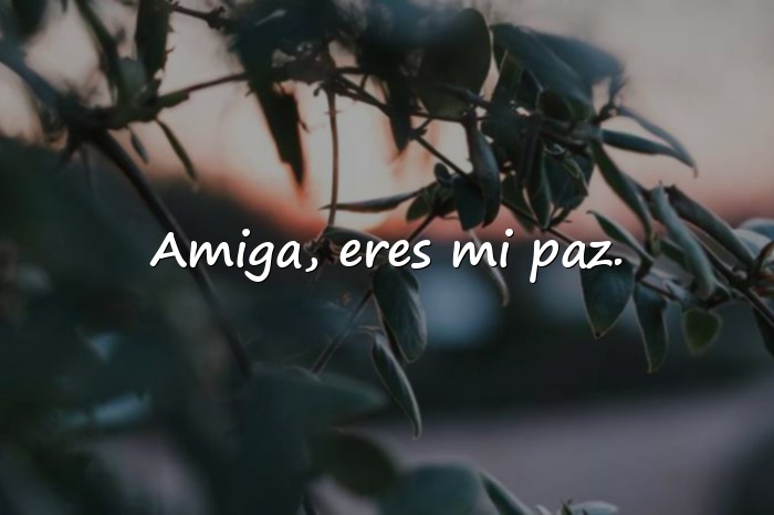 Imágenes frase para una amiga - 4