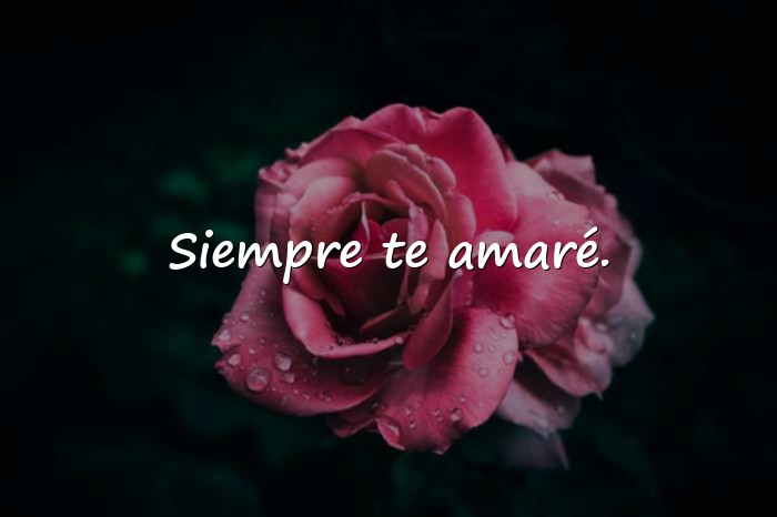 Imágenes frase romantica - 2