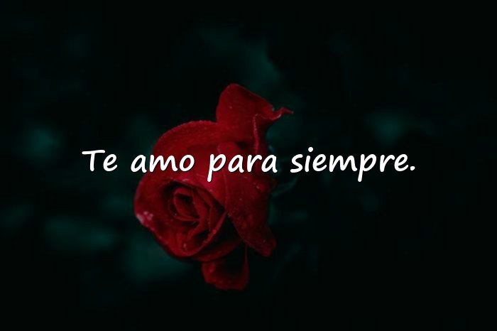 Imágenes frase romantica - 1
