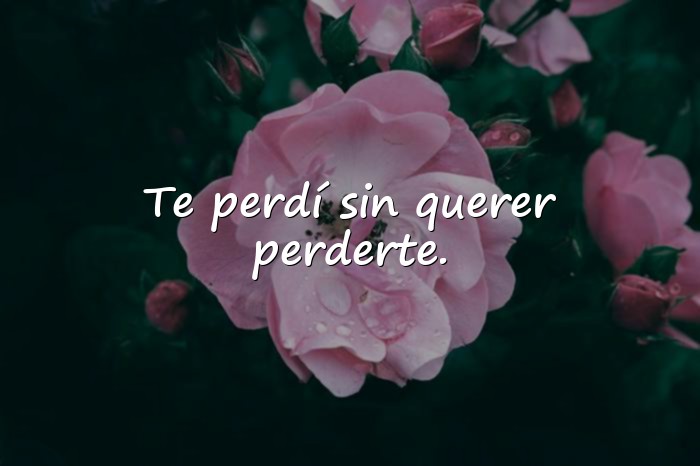 Imágenes frase triste de amor - 16