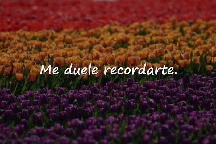 Imágenes frase triste de amor - 12