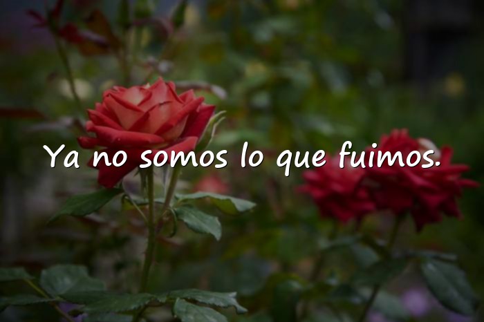 Imágenes frase triste de amor - 2