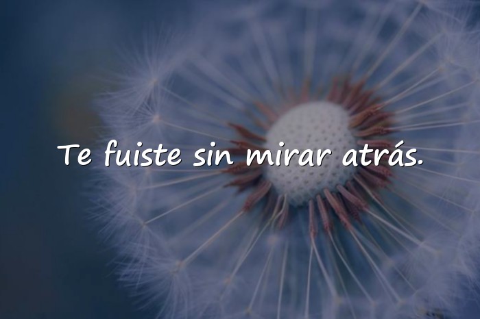 Imágenes frase triste de amor - 18