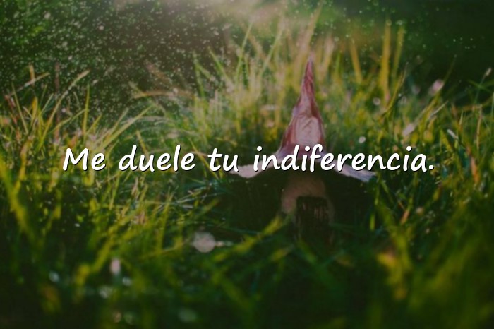 Imágenes frase triste de amor - 13
