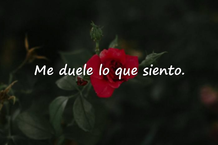 Imágenes frase triste de amor - 6