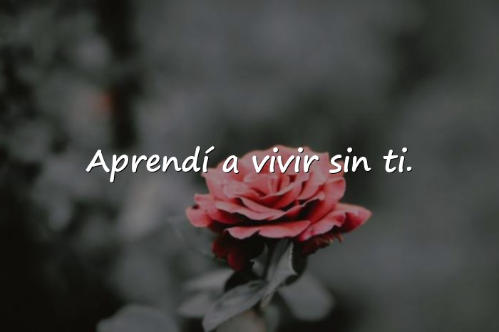 Imágenes frase triste de amor - 1