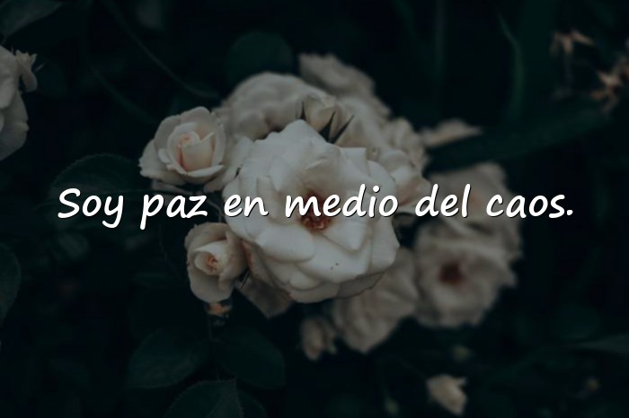 Imágenes frases aesthetic - 17
