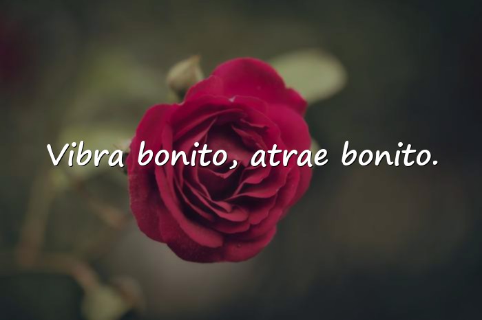 Imágenes frases aesthetic - 12