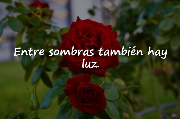 Imágenes frases aesthetic - 7
