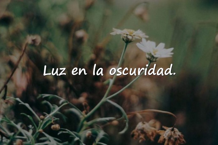Imágenes frases aesthetic - 24