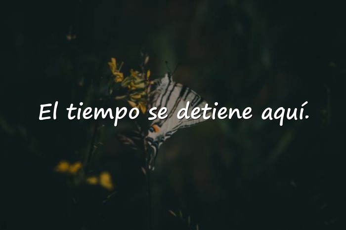 Imágenes frases aesthetic - 10