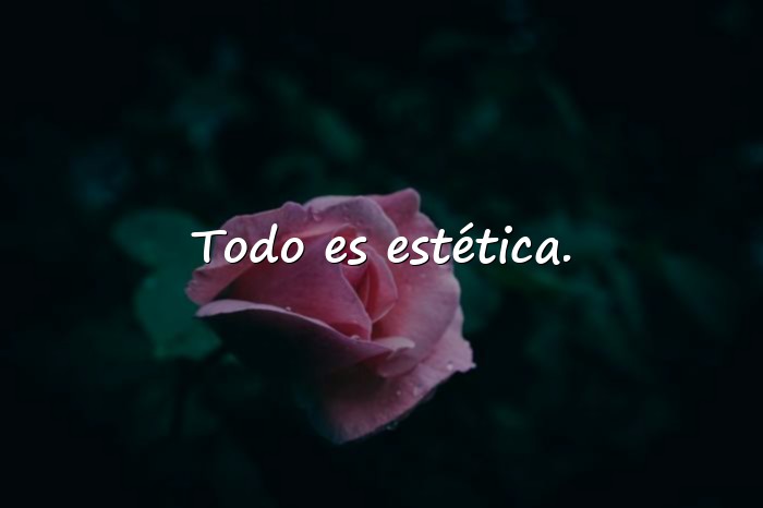 Imágenes frases aesthetic - 6