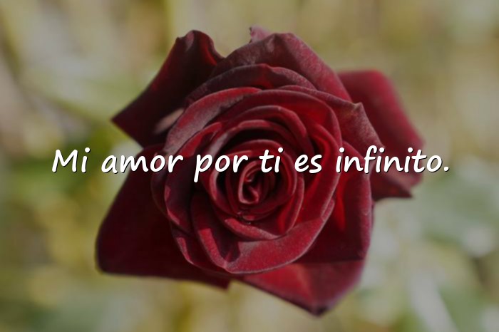 Imágenes frases amor - 6