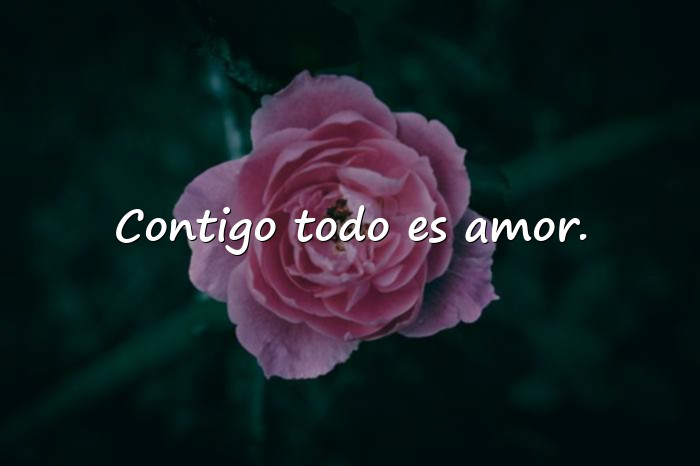 Imágenes frases amor - 2